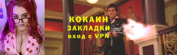 дурь Бронницы