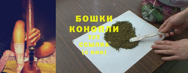 дурь Бронницы