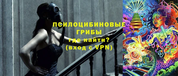 дурь Бронницы