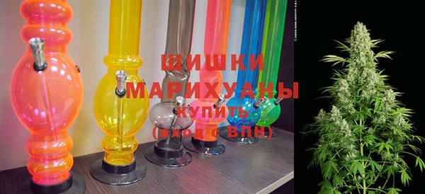 дурь Бронницы