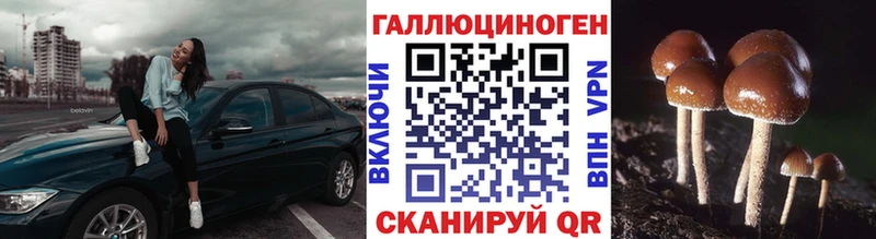 Псилоцибиновые грибы GOLDEN TEACHER Энгельс