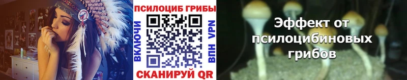 shop какой сайт  Энгельс  Псилоцибиновые грибы MAGIC MUSHROOMS 